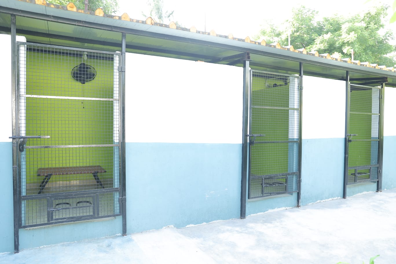 Individual kennel suites at Zaras